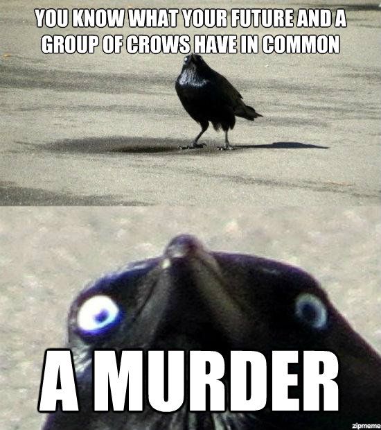 1426090887-insanity-crow-meme-murder